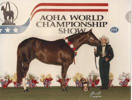 Shesa Splash Bar 1991 -World Champ. Am Yr Mare.jpg